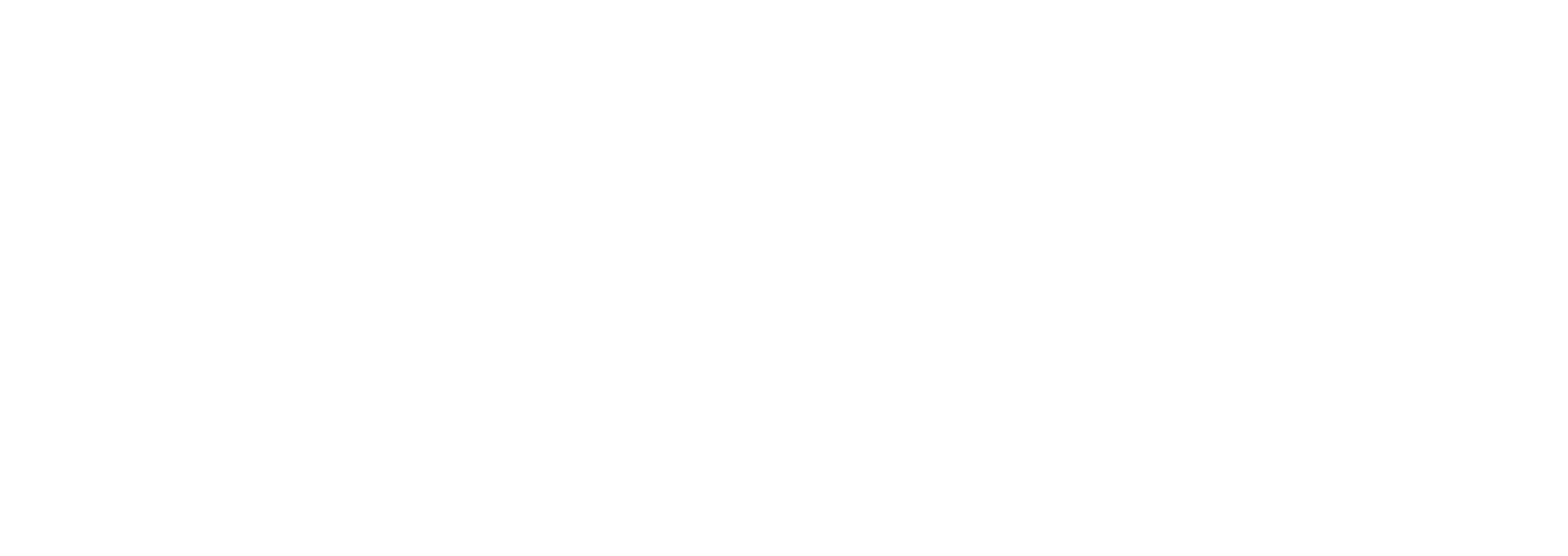 Logo pafero_Final_2023_weiß